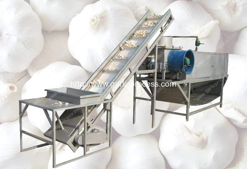 full-automatic-garlic-separating-and-peeling-machine