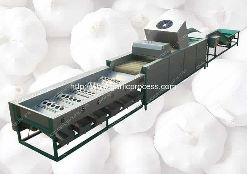 automatic-garlic-dry-cleaning-and-sorting-grading-machine