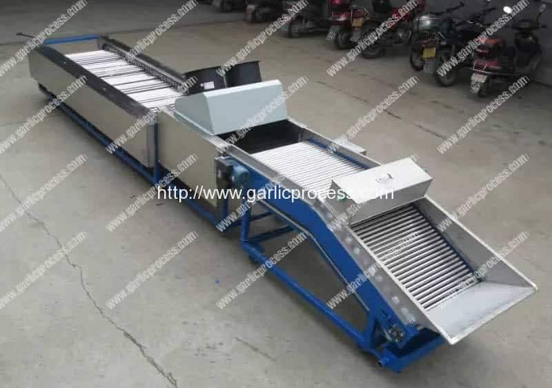 automatic-garlic-sorting-machine-with-brusher-cleaning-function