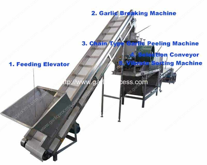 Stainless-Steel-SUS304-Garlic-Clove-Production-Line-for-Sale