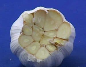 Manual Garlic Root Concave Cutting Tool