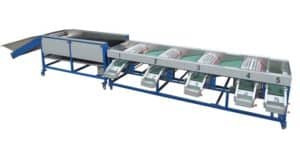 Automatic Garlic Sorting Machine with Brusher Cleaning Function Automatic Garlic Sorting Machine with Brusher Cleaning Function