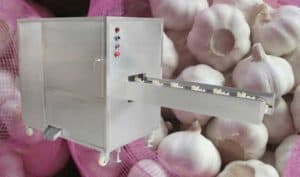 Máquina de corte de raiz côncava automática de alho