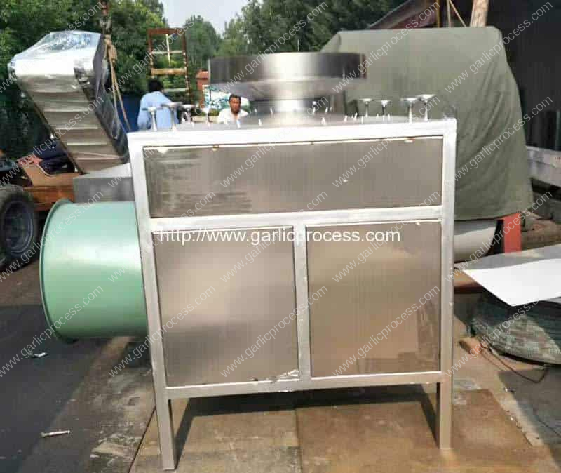 Stainless Steel Large Capacity Garlic Clove Breaking Machine for Sale