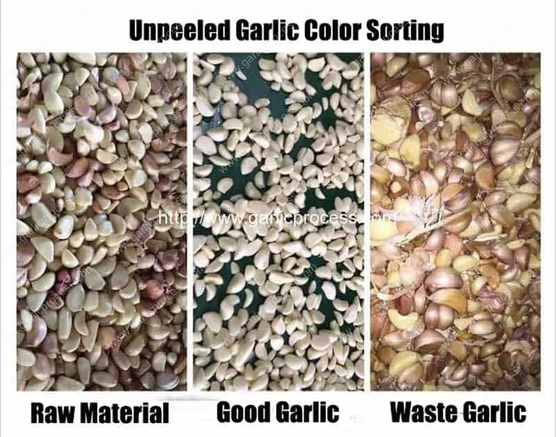 Unpeeled-Garlic-Clove-Color-Sorting-Machine