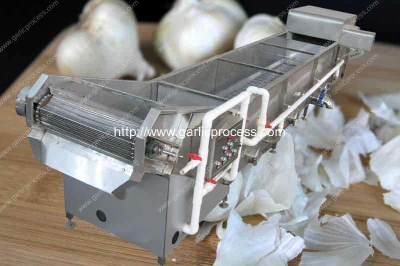 Garlic-Peel-Water-Floating-Removing-Machine-for-SALE