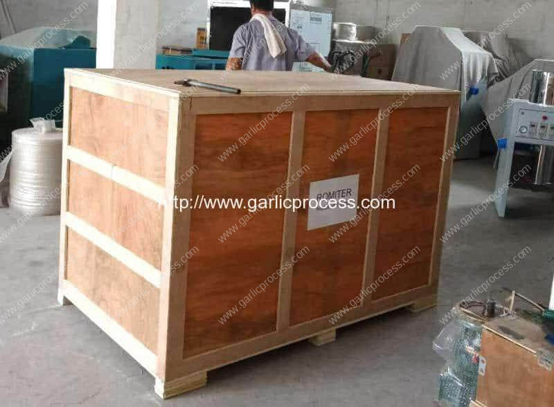 Pneumatic-800kgh-Garlic-Peeling-Machine-Delivery-for-India-Customer