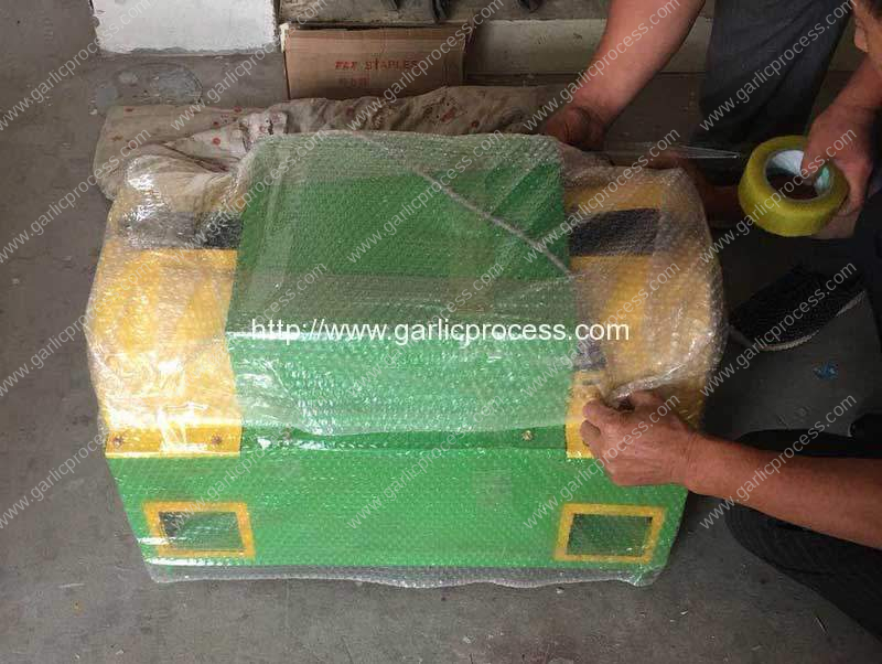 Double-Inlet-Garlic-Root-and-Leaf-Cutting-Machine-for-USA-Customer