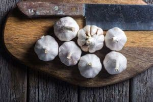 How-to-Grow-Garlic