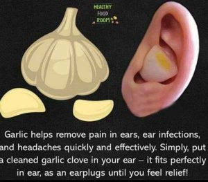 Putting Garlic in Ear will Help Relieve Earaches and Headaches