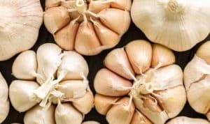 How to Peel Garlic in Garlic Processing Factory