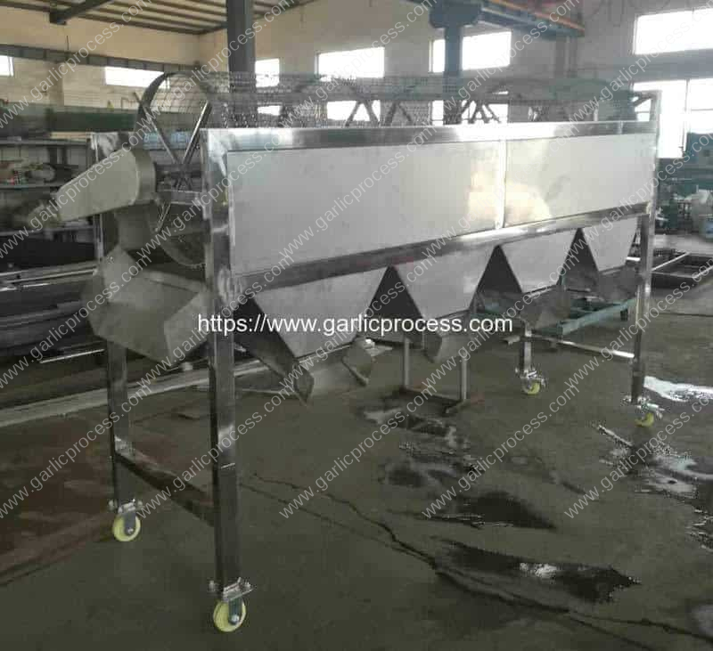 Automatic-Garlic-Seeds-Size-Sorting-Machine-for-Thailand