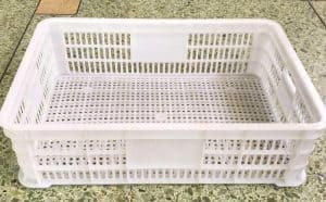 Black Garlic Storage Container Black Garlic Storage Container