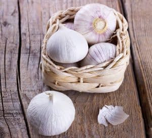 What is Black Garlic Fermentation Solo Garlic What is Black Garlic Fermentation Solo Garlic