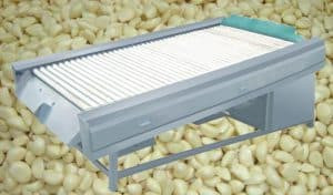 Automatic Garlic Clove Wipe Dry Machine Automatic Garlic Clove Wipe Dry Machine