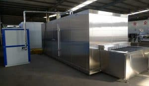 Full Automatic Garlic Clove Instant Freezer Machine Full Automatic Garlic Clove Instant Freezer Machine