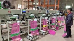 Automatic-Garlic-Size-Sorting-Machine-Outlet-with-Weigher