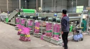 Automatic Garlic Size Sorting Machine with Weighing Filling Function Automatic Garlic Size Sorting Machine with Weighing Filling Function