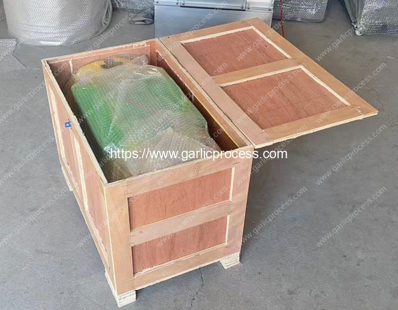 Automatic-Garlic-Root-and-Stem-Cutting-Machine-Delivery-for-USA-Customer