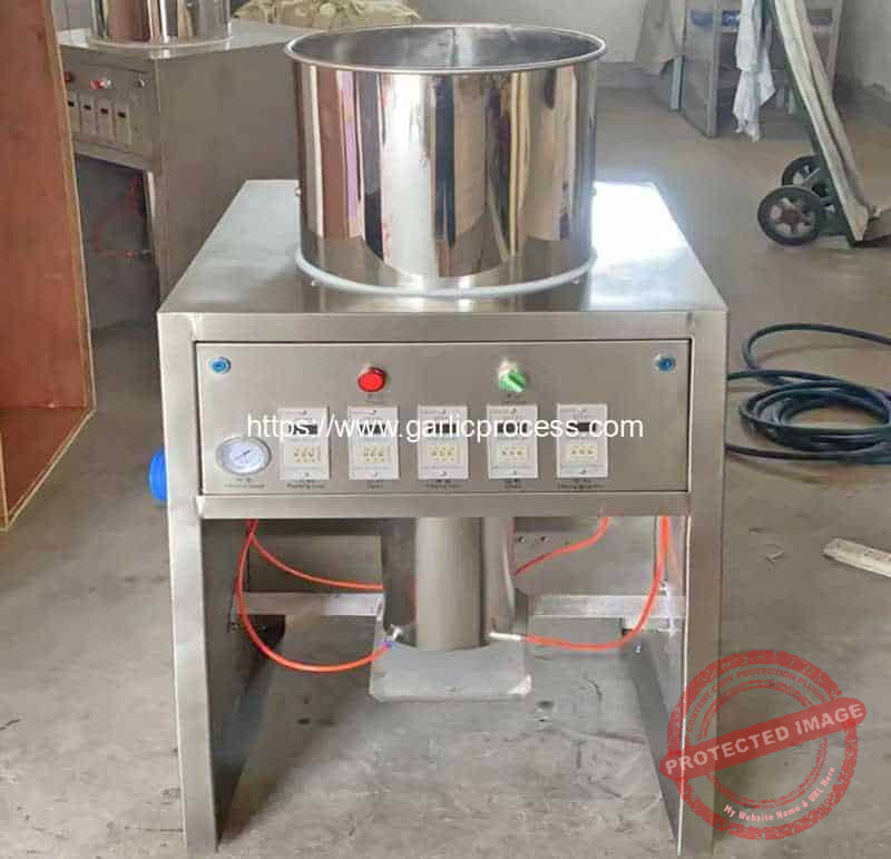 Automatic 100KGH Garlic Peeling Machine Automatic 100KGH Garlic Peeling Machine
